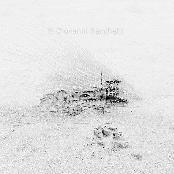Trabocco #2 - immagine 2